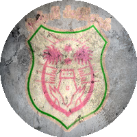 Logo Al-Anwar Club